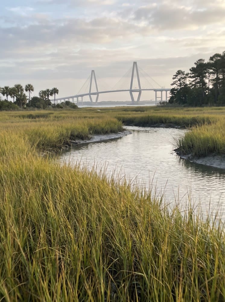 The Ravenel Bridge seen across a Lowcountry salt marsh and tidal creek at dawn