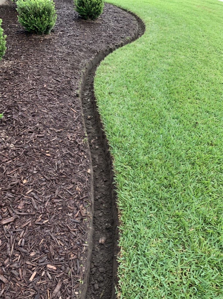 A freshly cut bed edge, dark mulch on one side and mown green lawn on the other