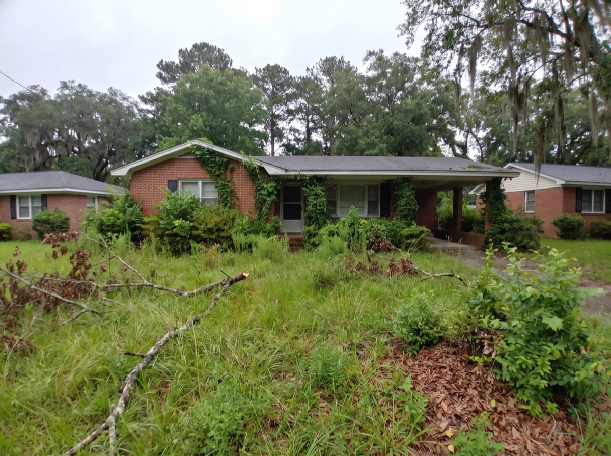An older brick ranch with a waist high overgrown yard and vines climbing the wall