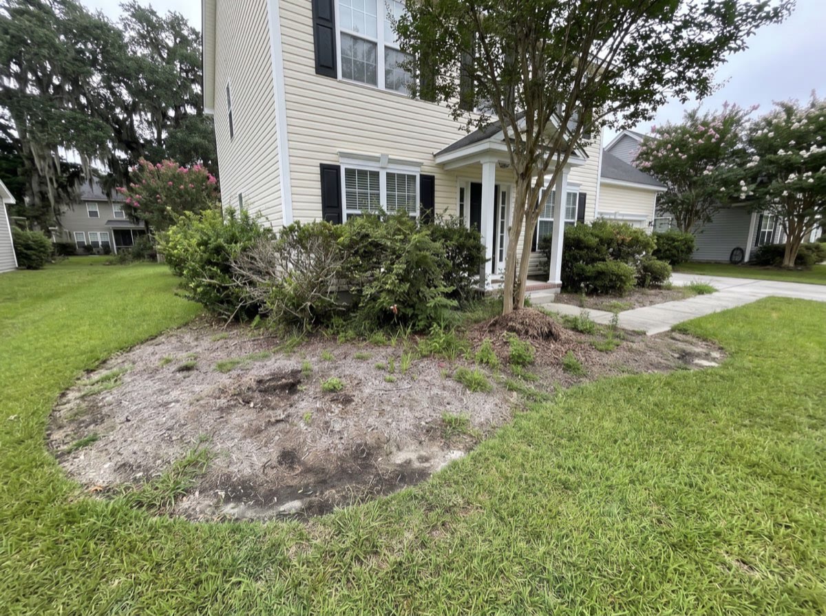 Tired foundation beds with thin faded mulch and no edge against the lawn