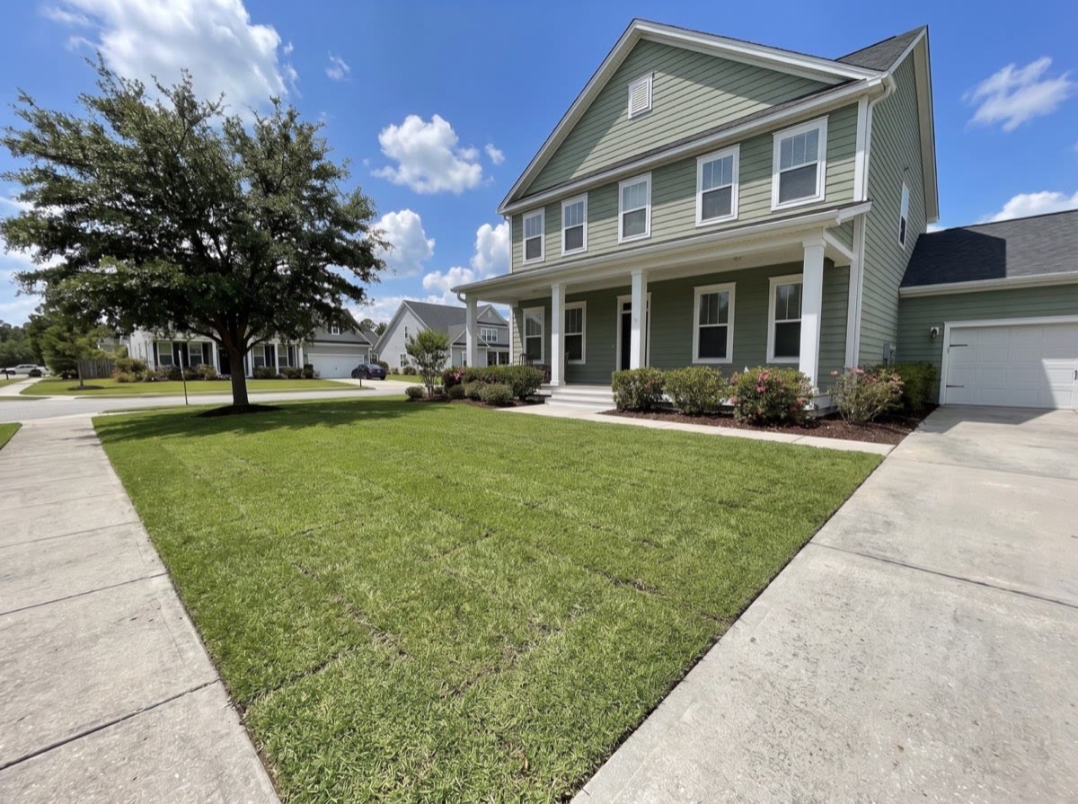 The same front yard laid with fresh green centipede sod to a clean edge